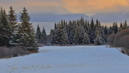 Inspiration Ridge - Homer Alaska Live Webcam - Nov 17, 2025, 3:38pm AKST