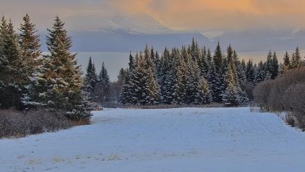 Inspiration Ridge - Homer Alaska Live Webcam - Nov 17, 2025, 3:36pm AKST