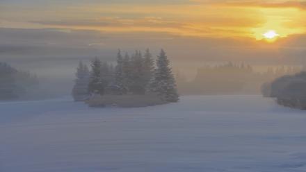 Inspiration Ridge - Homer Alaska Live Webcam - Feb 12, 2026, 9:23am AKST