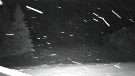 Inspiration Ridge - Homer Alaska Live Webcam - Jan 11, 2026, 9:11pm AKST