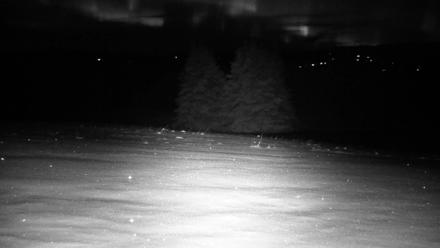 Inspiration Ridge - Homer Alaska Live Webcam - Nov 23, 2025, 1:36am AKST