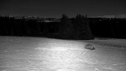 Inspiration Ridge - Homer Alaska Live Webcam - Jan 2, 2026, 11:38pm AKST