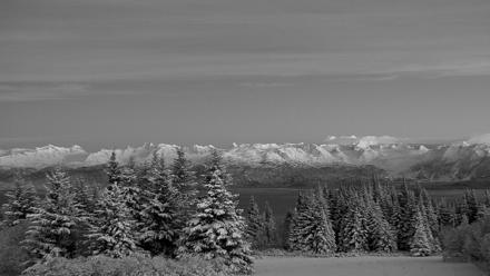 Inspiration Ridge - Homer Alaska Live Webcam - Nov 22, 2025, 6:14pm AKST
