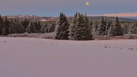 Inspiration Ridge - Homer Alaska Live Webcam - Nov 5, 2025, 7:05pm AKST
