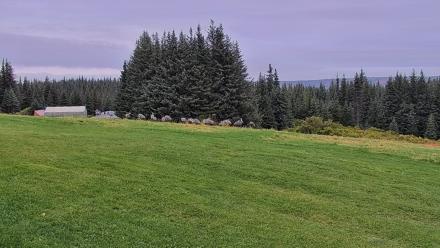 Inspiration Ridge - Homer Alaska Live Webcam - Sep 11, 2025, 8:54am AKDT