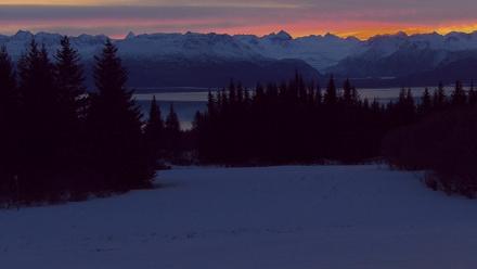 Inspiration Ridge - Homer Alaska Live Webcam - Jan 18, 2026, 11:23am AKST