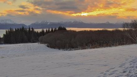 Inspiration Ridge - Homer Alaska Live Webcam - Nov 19, 2025, 9:45am AKST