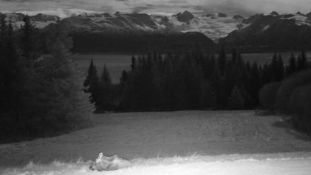 Inspiration Ridge - Homer Alaska Live Webcam - Nov 3, 2025, 9:27pm AKST