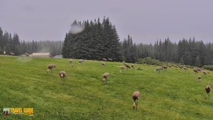 Inspiration Ridge - Homer Alaska Live Webcam - Aug 25, 2026, 2:45pm AKDT
