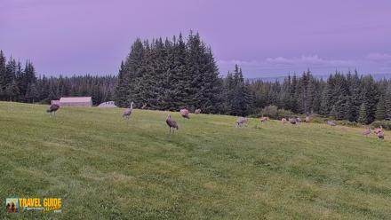 Inspiration Ridge - Homer Alaska Live Webcam - Aug 27, 2026, 6:03pm AKDT