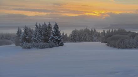 Inspiration Ridge - Homer Alaska Live Webcam - Feb 12, 2026, 9:13am AKST