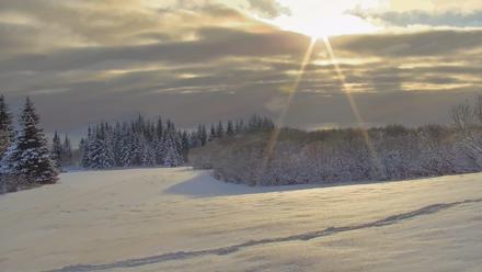 Inspiration Ridge - Homer Alaska Live Webcam - Feb 13, 2026, 10:24am AKST