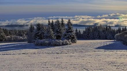 Inspiration Ridge - Homer Alaska Live Webcam - Nov 5, 2025, 10:22am AKST