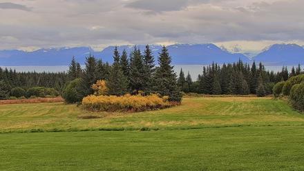 Inspiration Ridge - Homer Alaska Live Webcam - Sep 24, 2025, 3:30pm AKDT