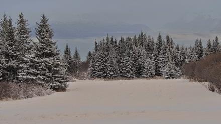 Inspiration Ridge - Homer Alaska Live Webcam - Jan 5, 2026, 3:42pm AKST