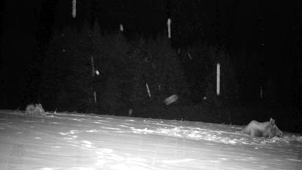 Inspiration Ridge - Homer Alaska Live Webcam - Jan 13, 2026, 11:56pm AKST