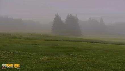 Inspiration Ridge - Homer Alaska Live Webcam - Jul 22, 2026, 5:56am AKDT