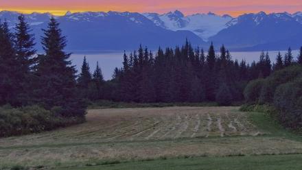 Inspiration Ridge - Homer Alaska Live Webcam - Aug 30, 2025, 6:23am AKDT