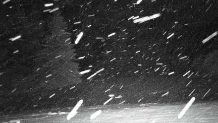 Inspiration Ridge - Homer Alaska Live Webcam - Jan 13, 2026, 4:09am AKST