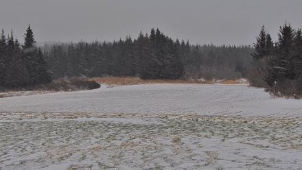 Inspiration Ridge - Homer Alaska Live Webcam - Dec 29, 2025, 3:00pm AKST