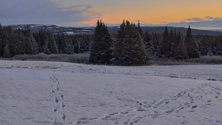 Inspiration Ridge - Homer Alaska Live Webcam - Nov 8, 2025, 10:52am AKST