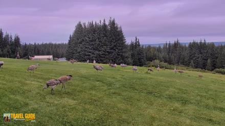 Inspiration Ridge - Homer Alaska Live Webcam - Aug 28, 2026, 3:52pm AKDT