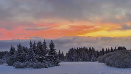 Inspiration Ridge - Homer Alaska Live Webcam - Jan 14, 2026, 9:43am AKST