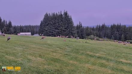 Inspiration Ridge - Homer Alaska Live Webcam - Aug 21, 2026, 10:26am AKDT