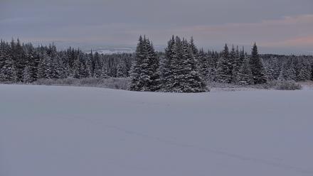 Inspiration Ridge - Homer Alaska Live Webcam - Jan 14, 2026, 4:14pm AKST