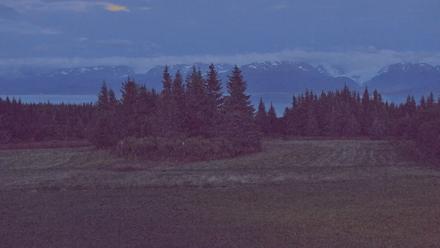 Inspiration Ridge - Homer Alaska Live Webcam - Sep 8, 2025, 9:41pm AKDT