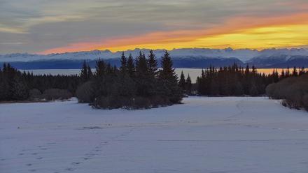 Inspiration Ridge - Homer Alaska Live Webcam - Feb 1, 2026, 12:05pm AKST
