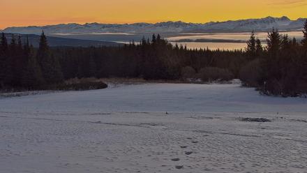 Inspiration Ridge - Homer Alaska Live Webcam - Jan 23, 2026, 10:16am AKST
