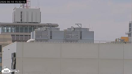 Richmond Virginia Peregrine Falcon Live Cam - Jun 10, 2026, 3:35pm EDT