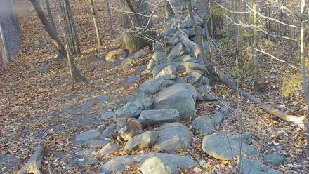 Wolf Center - Group 4 Wolves - Nov 6, 2025, 7:53am EST