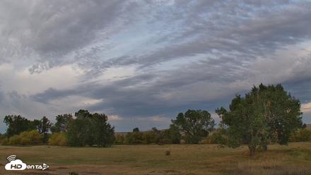 Montana Grasslands Bison Live Webcam - Sep 23, 2026, 8:00am MDT