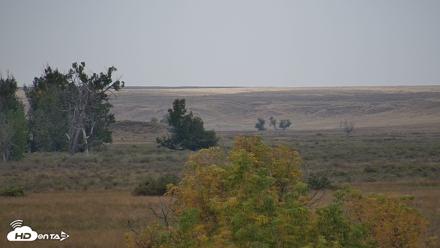 Montana Grasslands Bison Live Webcam - Sep 23, 2026, 11:04am MDT