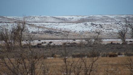 Montana Grasslands Bison Live Webcam - Dec 7, 2025, 7:43am MST