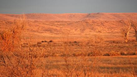 Montana Grasslands Bison Live Webcam - Oct 31, 2025, 8:11am MDT