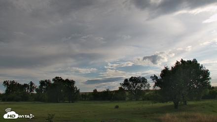 Montana Grasslands Bison Live Webcam - Jun 22, 2026, 7:27pm MDT