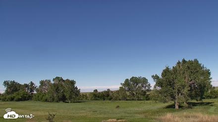 Montana Grasslands Bison Live Webcam - Jun 29, 2026, 9:19am MDT