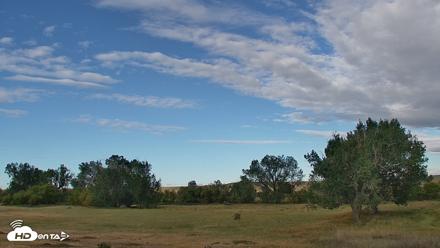 Montana Grasslands Bison Live Webcam - Sep 8, 2026, 8:35am MDT