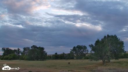 Montana Grasslands Bison Live Webcam - Sep 1, 2026, 7:40pm MDT