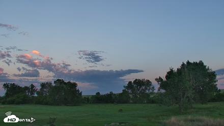 Montana Grasslands Bison Live Webcam - Jul 5, 2026, 5:24am MDT