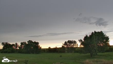 Montana Grasslands Bison Live Webcam - Jun 27, 2026, 6:54pm MDT