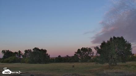 Montana Grasslands Bison Live Webcam - Sep 16, 2026, 6:57am MDT