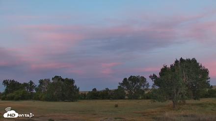 Montana Grasslands Bison Live Webcam - Sep 1, 2026, 6:23am MDT