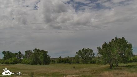 Montana Grasslands Bison Live Webcam - Jun 4, 2026, 12:24pm MDT