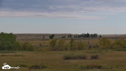 Montana Grasslands Bison Live Webcam - Sep 23, 2026, 11:05am MDT