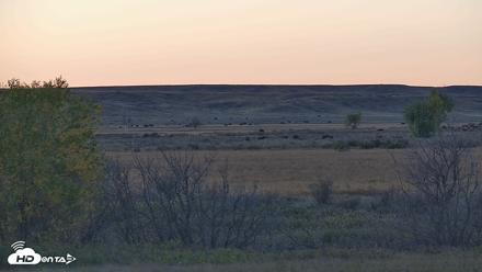 Montana Grasslands Bison Live Webcam - Oct 13, 2026, 6:31pm MDT