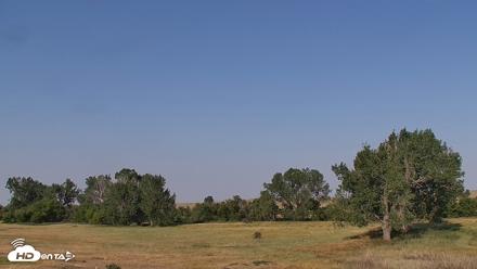Montana Grasslands Bison Live Webcam - Aug 6, 2026, 8:31am MDT
